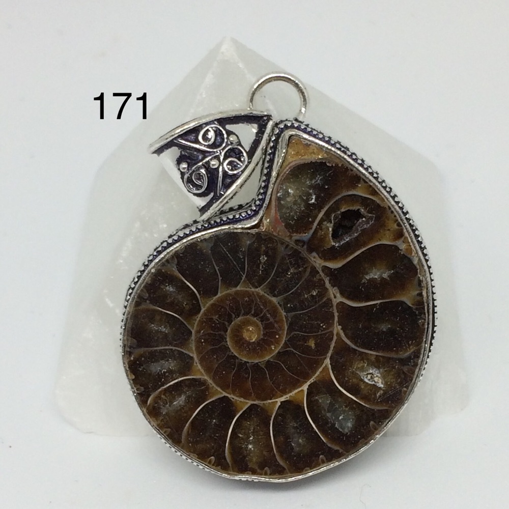 Ammonite Fossil Pendant